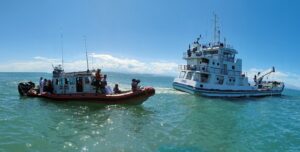 SEMAR concluyó protección de la vaquita marina