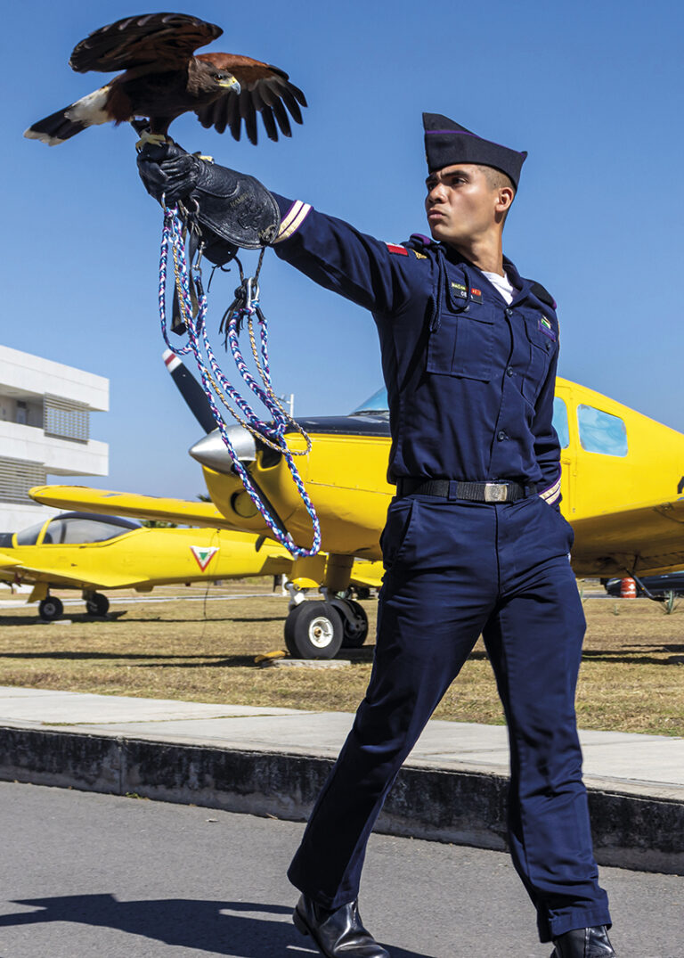 Colegio del Aire, Crisol de Oficiales Aéreos - Armas - Revista Militar