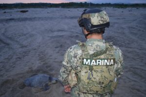 MARINA BRINDA SEGURIDAD A 117 MIL 655 TORTUGAS GOLFINAS EN OAXACA