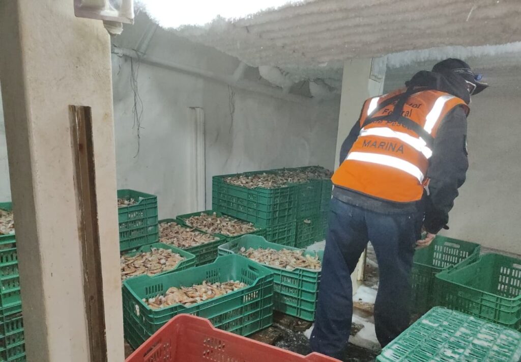 Marina realiza patrullaje de vigilancia marítima en materia de pesca ...